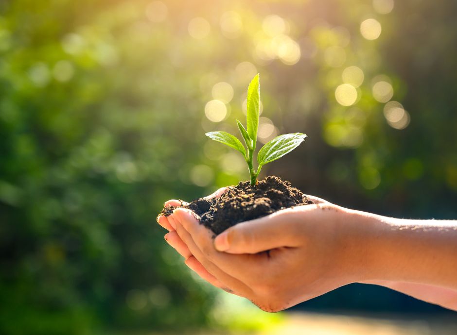 controlli-agea-sugli-elenchi-di-liquidazione-degli-indennizzi-a_p78376 Sezione Circolari PAC | ConsulenzaAgricola.it