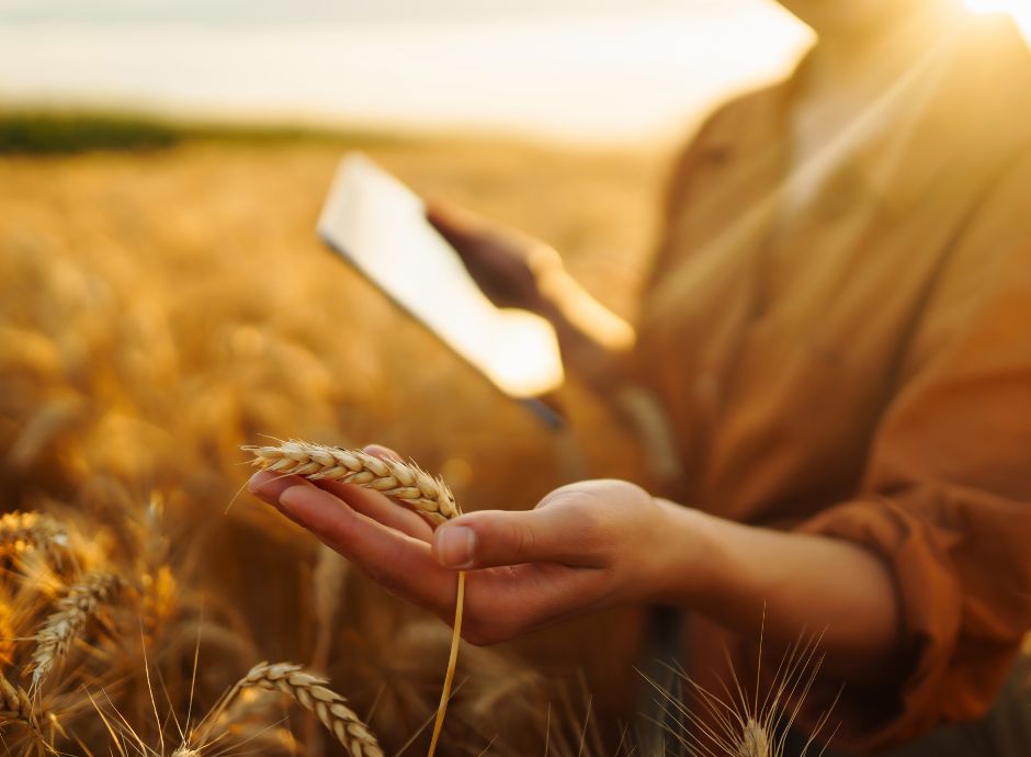 qfp-pac-2028-2034-meno-risorse-finanziarie-tante-novita Sezione Circolari PAC | ConsulenzaAgricola.it