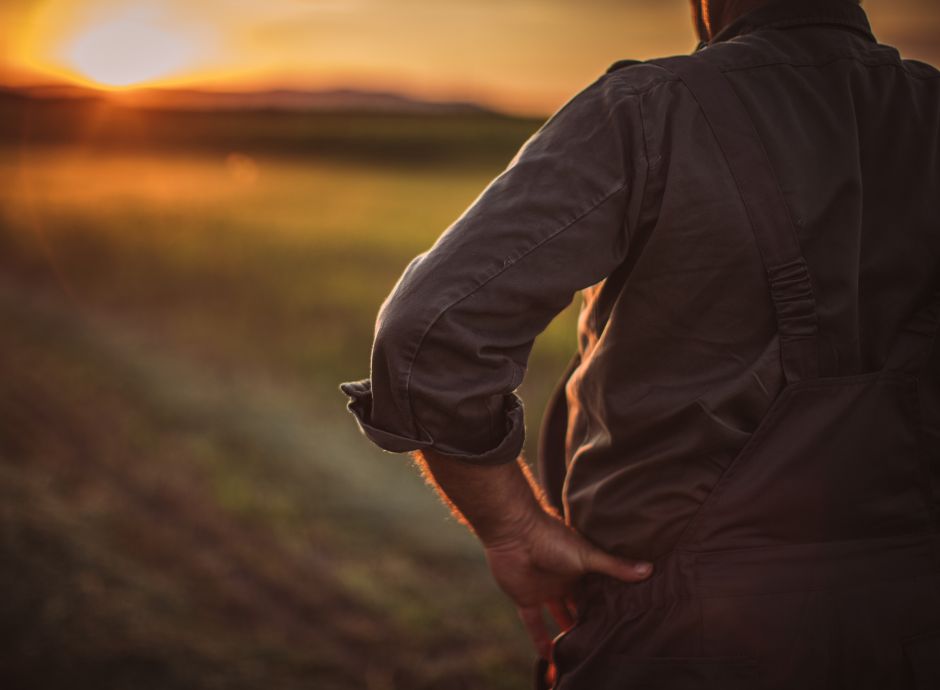 emergenze-climatiche-luoghi-lavoro-accesso-cisoa-anche-oltre-li_p86643 Sezione Circolari Lavoro | ConsulenzaAgricola.it