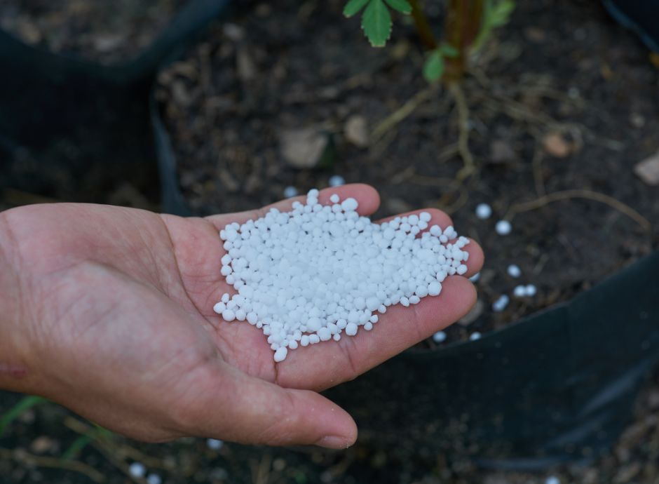 divieto-utilizzo-urea-bacino-padano-1-gennaio-2028 Sezione Circolari PAC | ConsulenzaAgricola.it