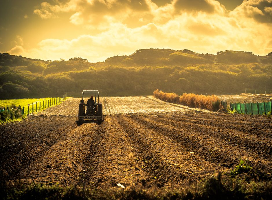 adempimenti-istruttori-sostegno-accoppiato-campagna-2025 Sezione Circolari PAC | ConsulenzaAgricola.it