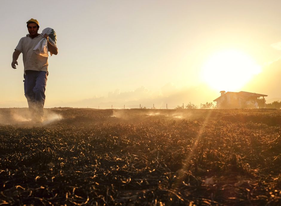 estensione-cisoa-emergenze-climatiche-indicazioni-inps Sezione Circolari Lavoro | ConsulenzaAgricola.it