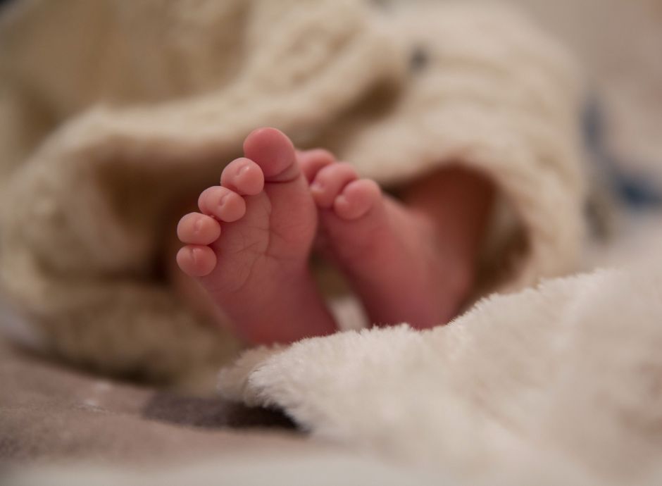 bonus-nuovi-nati-termine-22-settembre-2025-presentazione-domand_p58883 Sezione Circolari Varie | ConsulenzaAgricola.it