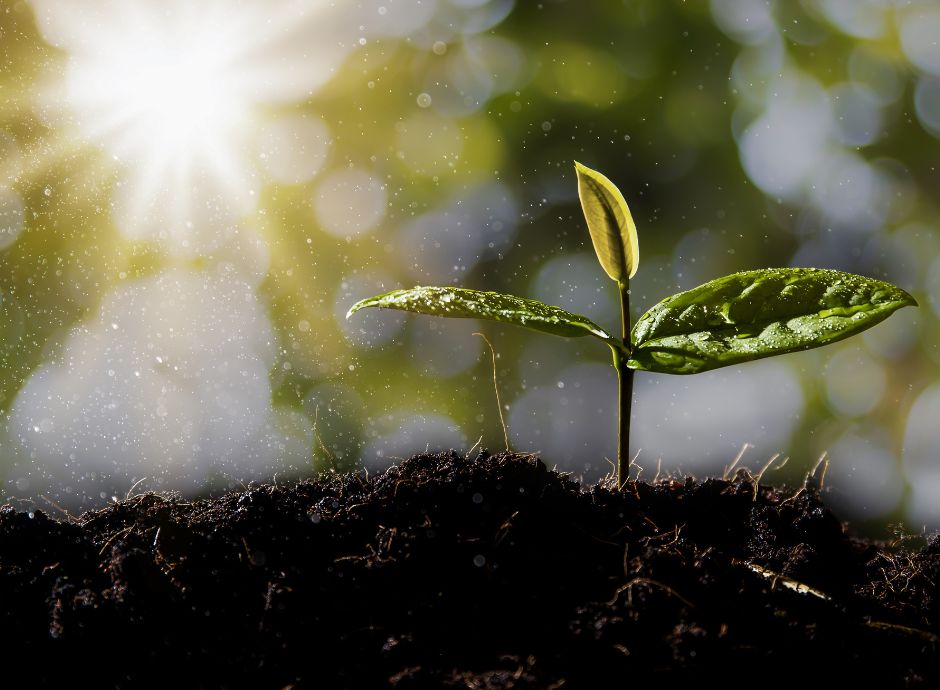 biostimolanti-europa-mercato-5-miliardi-euro-piena-espansione Sezione Circolari Varie | ConsulenzaAgricola.it