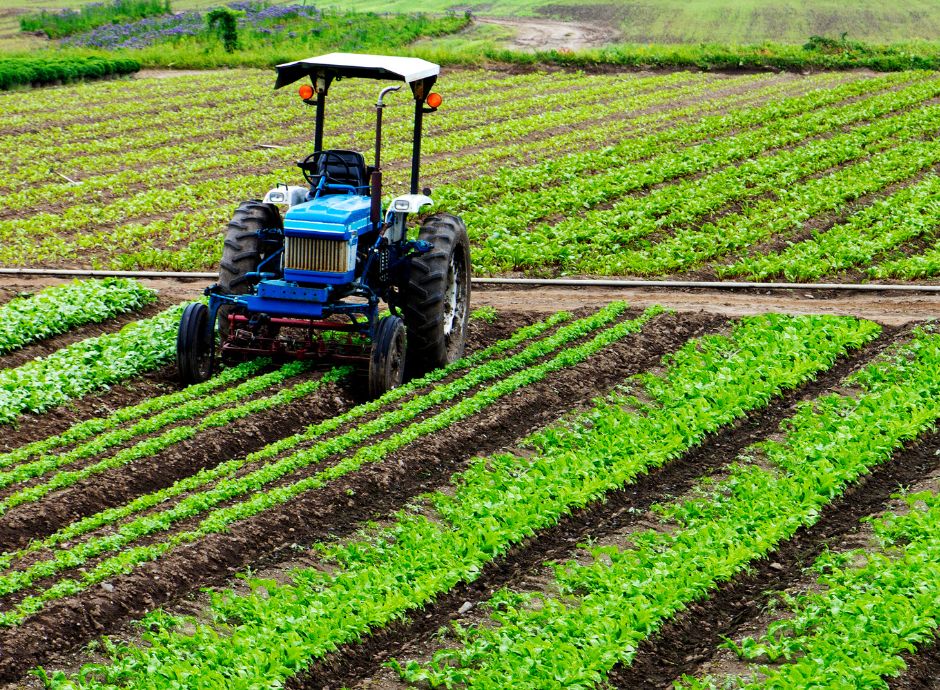 agevolazioni-iap-addio-requisito-reddituale-primi-5-anni-cosa-c_p63930 Sezione Circolari Fiscale | ConsulenzaAgricola.it