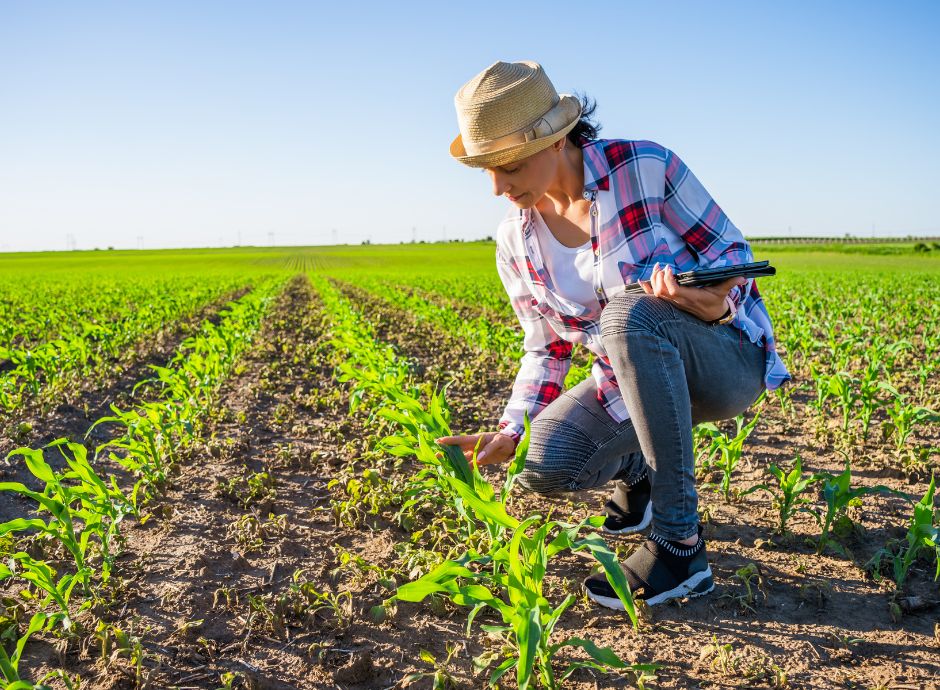 bonus-formazione-giovani-agricoltori-riconosciuto-al-100 Sezione Circolari Varie | ConsulenzaAgricola.it