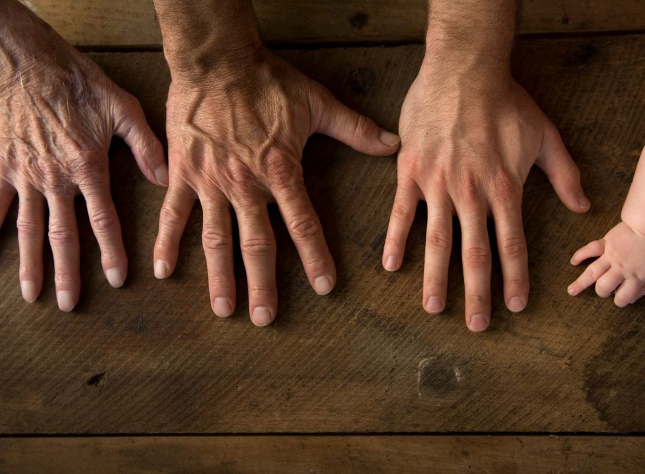 esenzione-dalle-imposte-a-maglie-larghe-il-nuovo-volto-del-tras_p79272 ConsulenzaAgricola -  Risposte efficaci per il mondo agricolo