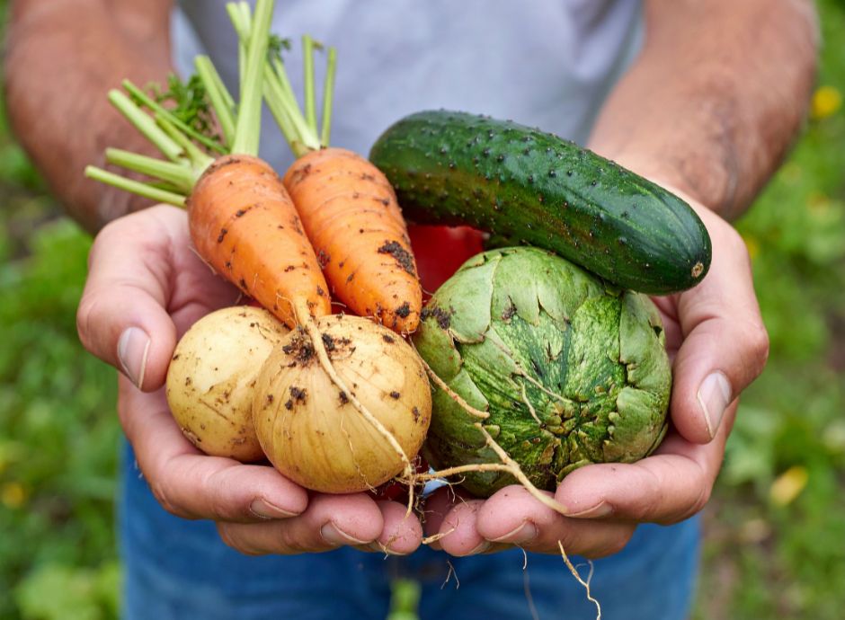 nuova-strategia-riparto-fondo-biologico-focus-ricerca-sementi-m_p41034 ConsulenzaAgricola -  Risposte efficaci per il mondo agricolo