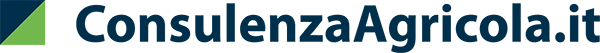 logo-consulenza-agricola ConsulenzaAgricola -  Risposte efficaci per il mondo agricolo