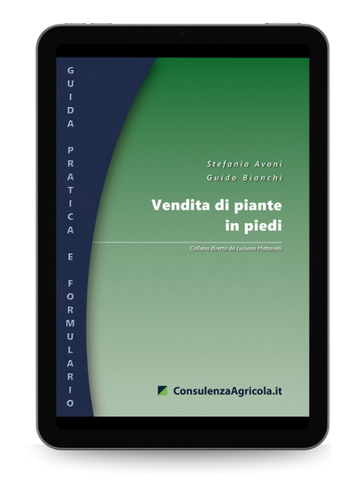 Vendita di piante in piedi