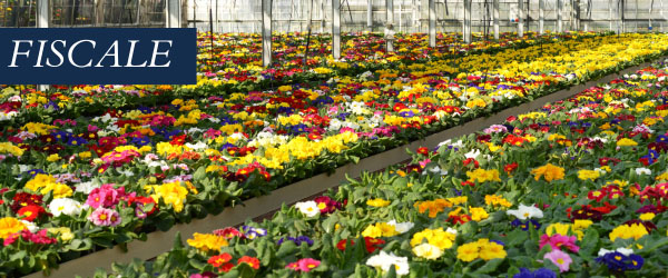 copertina Formazione | Eventi