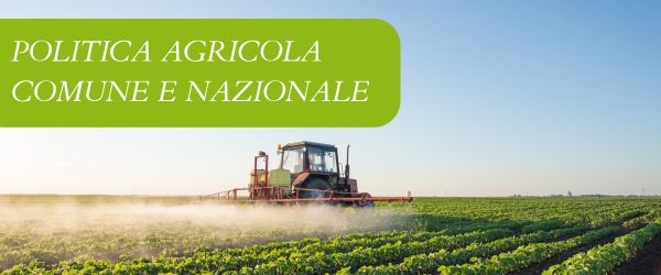 copertina Formazione | Eventi