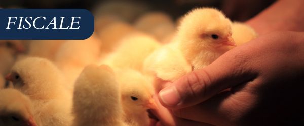 copertina Formazione | Eventi