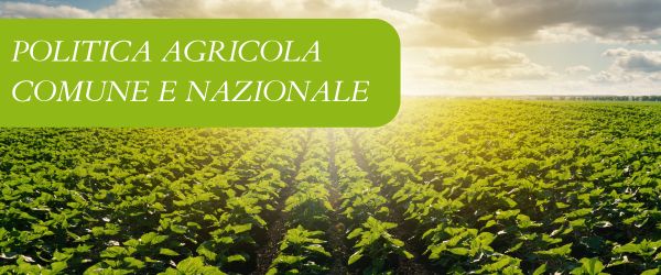 copertina Formazione | Eventi