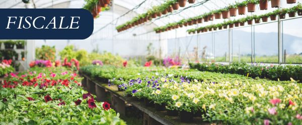 copertina Formazione | Eventi