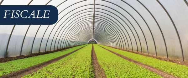 copertina Formazione | Eventi