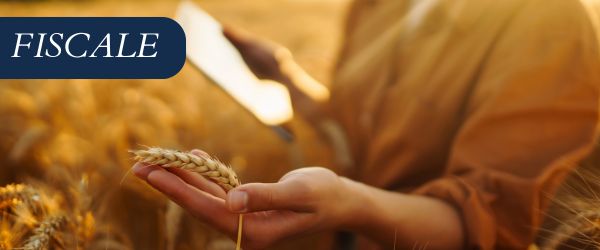 copertina Formazione | Eventi