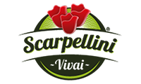 scarpellinip01 Eventi partner